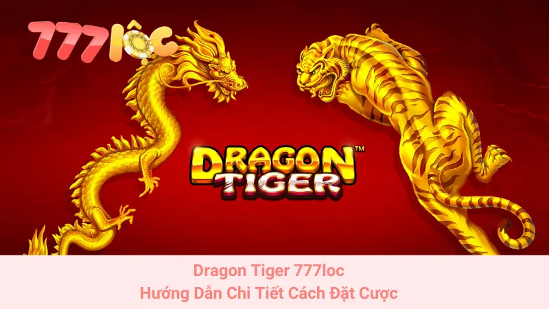 Dragon Tiger 777loc: Hướng Dẫn Chi Tiết Cách Đặt Cược 1 Dragon Tiger 777loc: Hướng Dẫn Chi Tiết Cách Đặt Cược